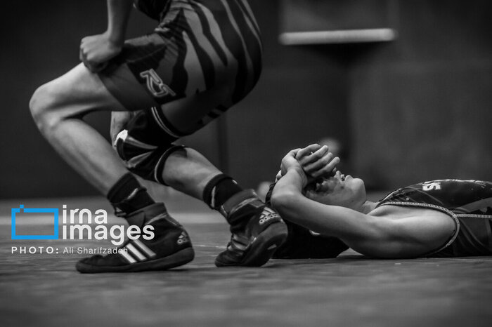 171615025 ورود وزارت ورزش به حاشیههای مسابقات کشتی در شب استعفای نصیرشلال از تیم ملی وزنهبرداری